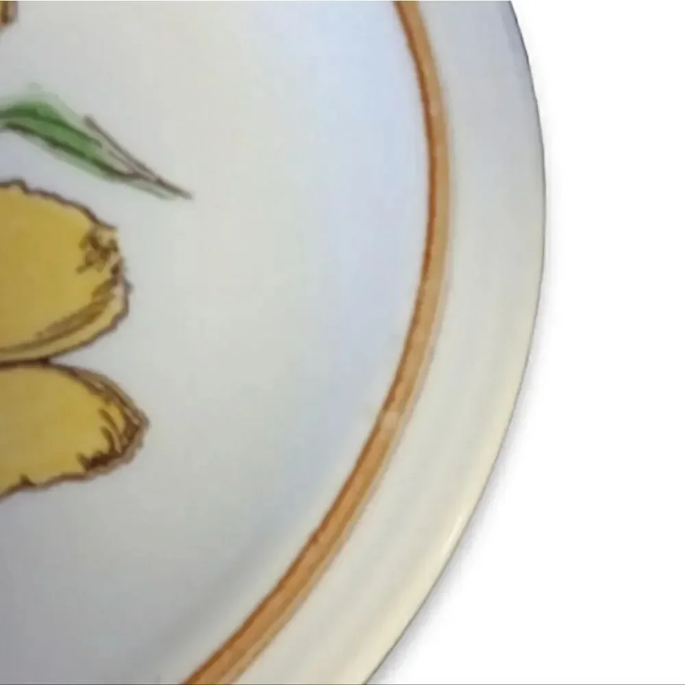 Homer Laughlin Vintage‎ 1979 Yellow Flowers Set of 2 Dinner Plates